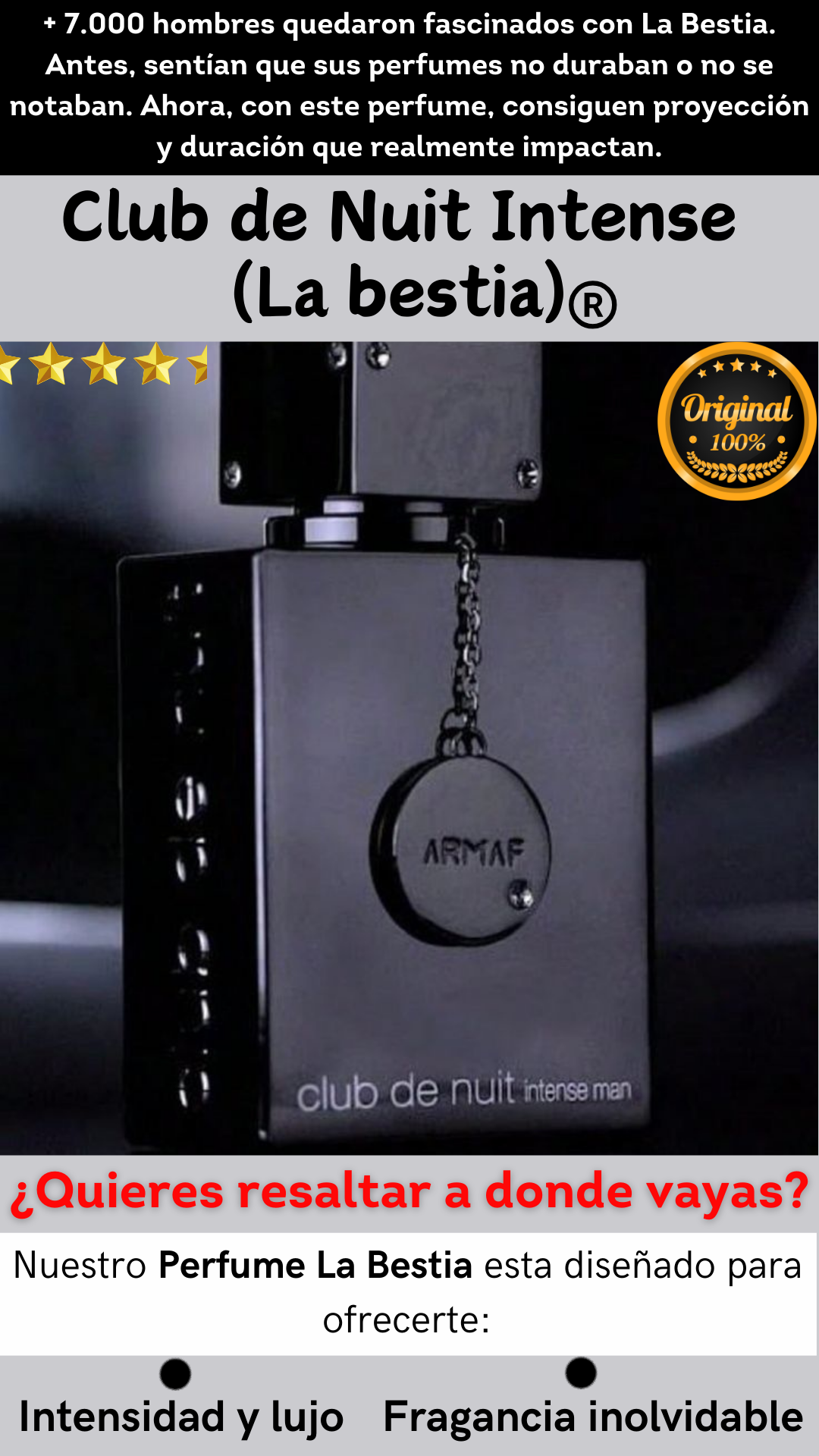 CLUB DE NUIT INTENSE